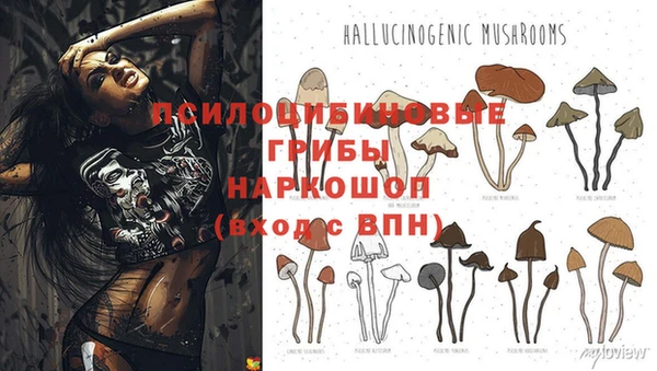 круглые Алзамай